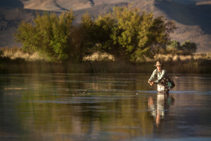 Sturtevants Sun Valley - Fly Fishing Guides