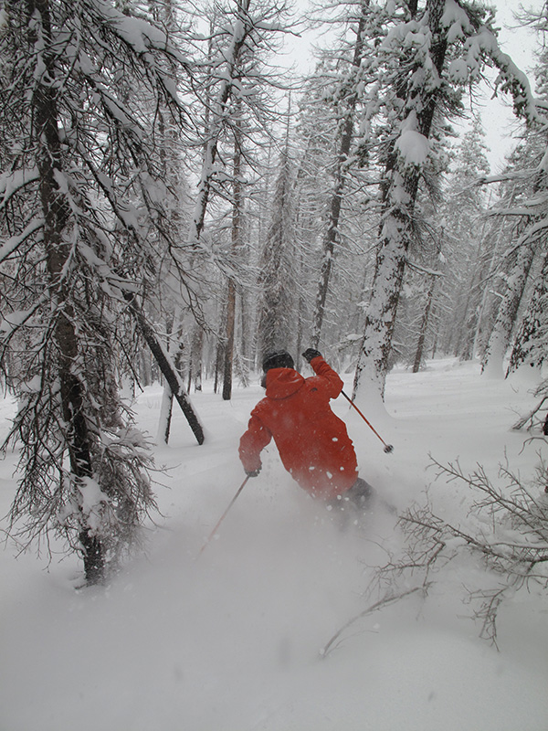 TreeSkiing2015