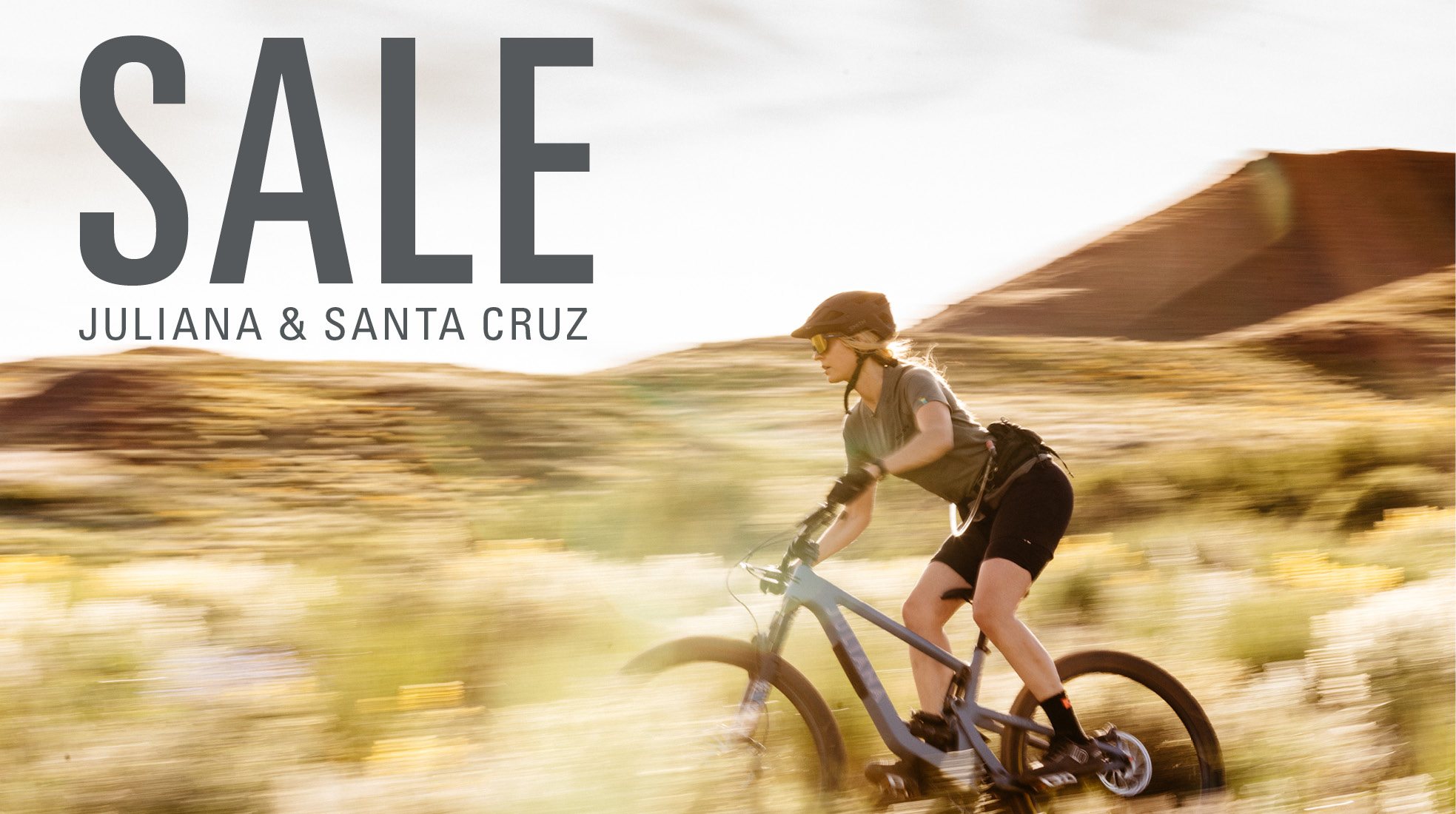 BIKE SALE Sturtevants