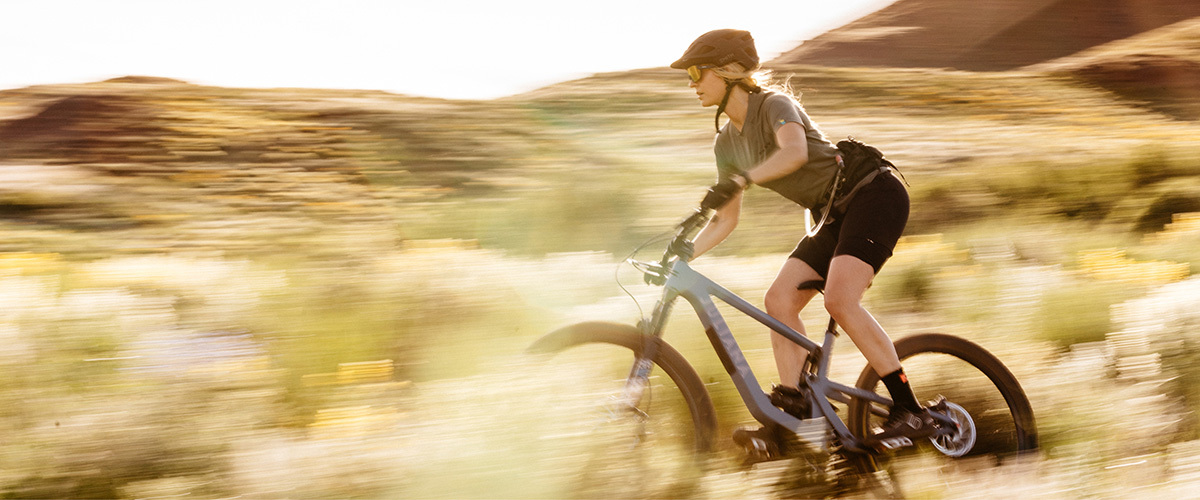 Places to buy online mountain bikes near me