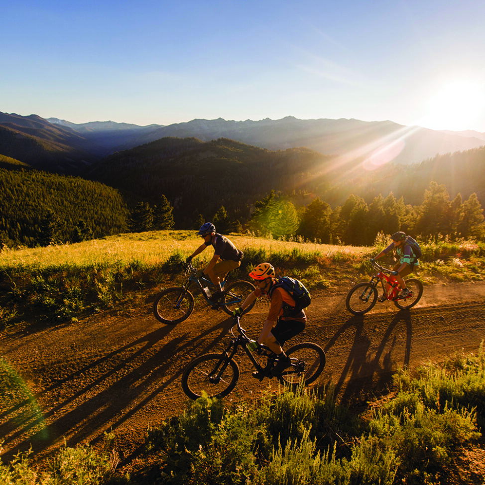 BIKE SEASON BEGINS NOW Sturtevants