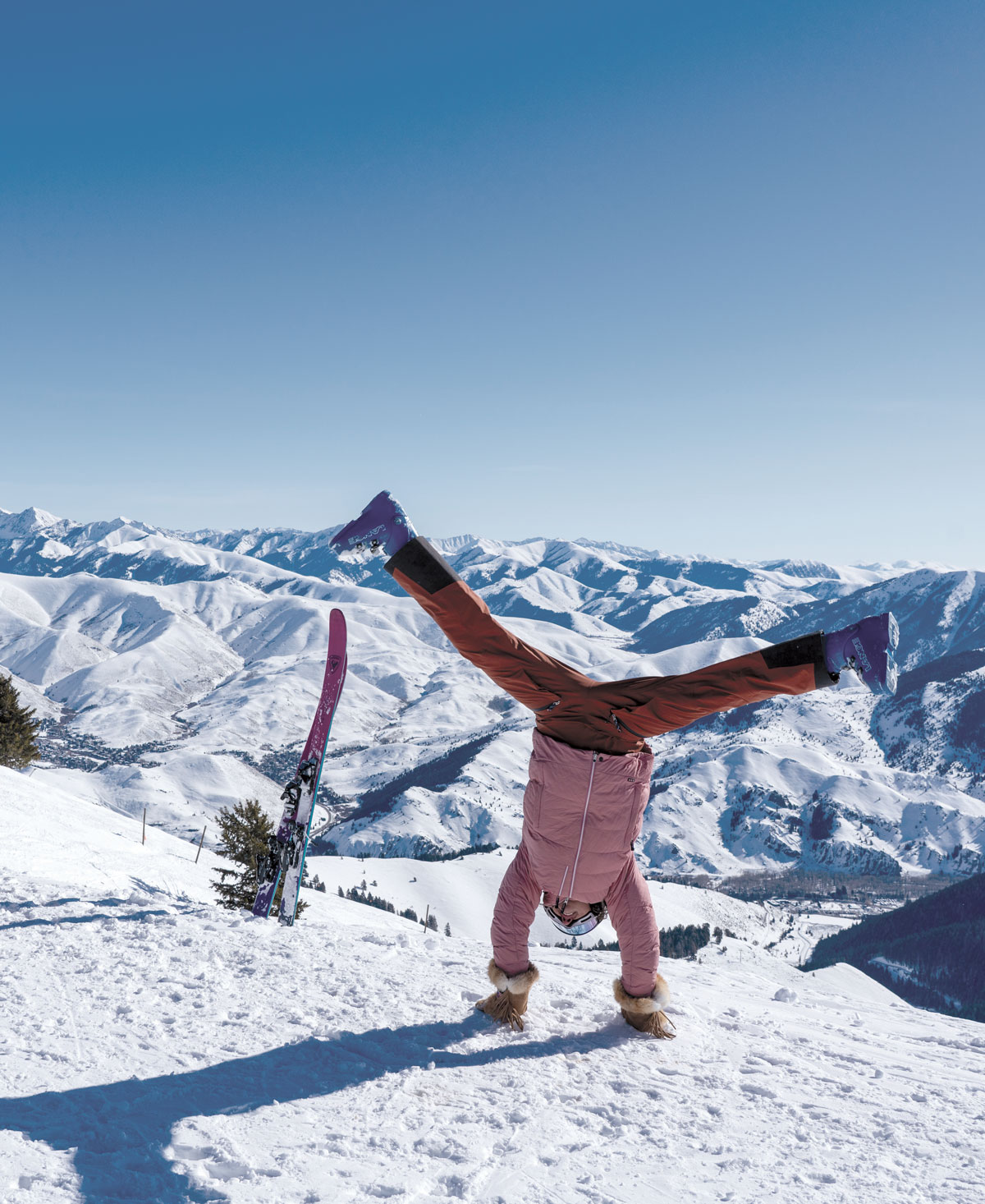 Featured image for “MID WINTER SALE!”