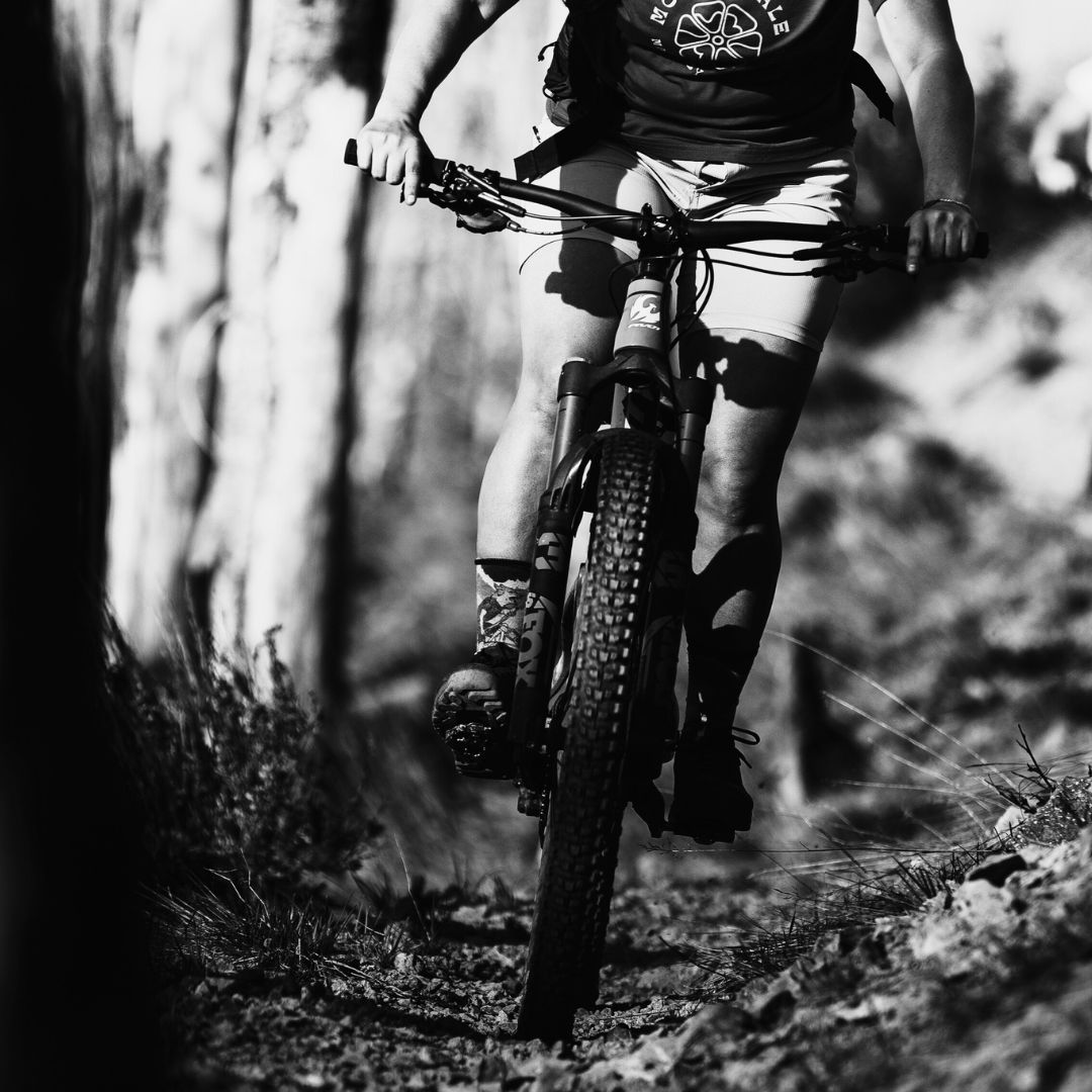 Featured image for “PRE SEASON BIKE SALE IN HAILEY. 10-40% OFF!”