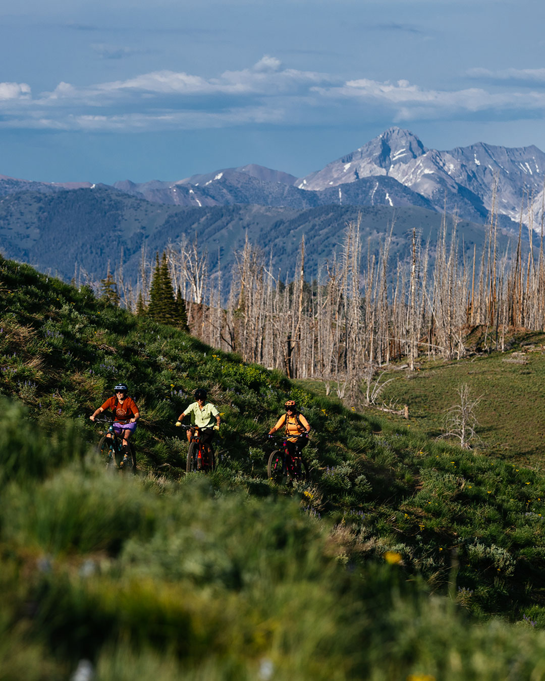 Featured image for “BIKE SWAP! MAY 16 – STURTEVANTS IN HAILEY”